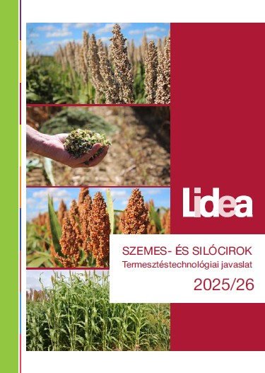 Lidea cirok termesztéstechnológiai javaslat – 2026